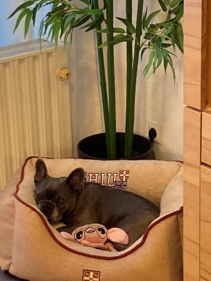 Das Kauzennest Apartment Bad Harzburg Bagian luar foto