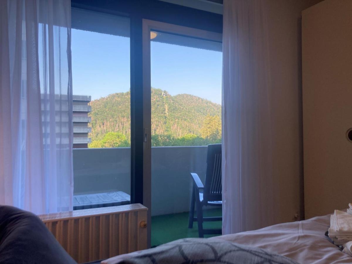 Das Kauzennest Apartment Bad Harzburg Bagian luar foto